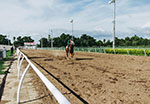 manege sand